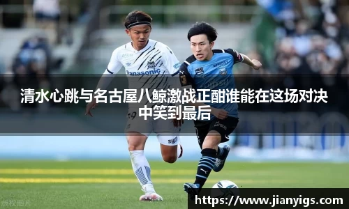 智博19有限公司